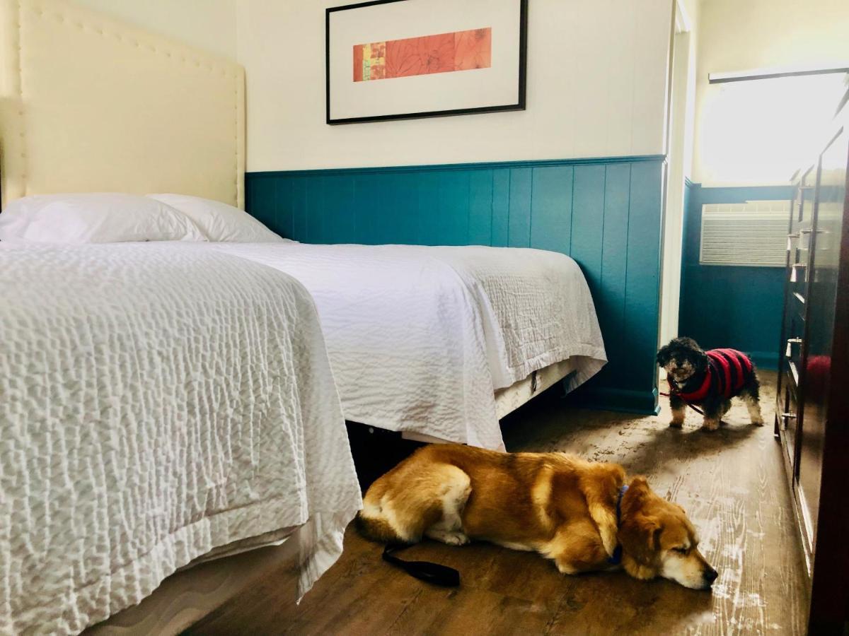 The Voy Motel Schreiber Luaran gambar