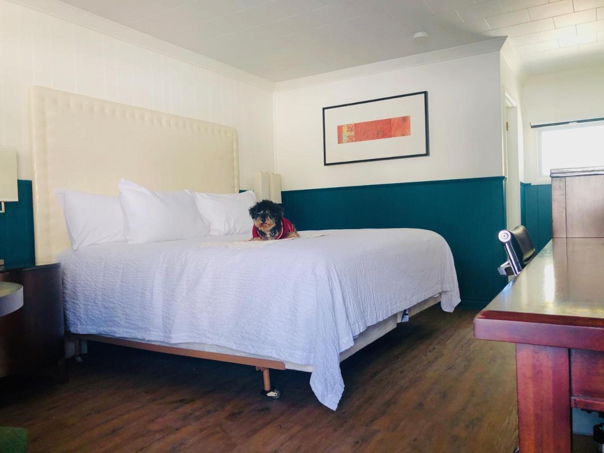 The Voy Motel Schreiber Luaran gambar